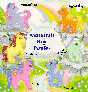 Mountain Boy Ponies