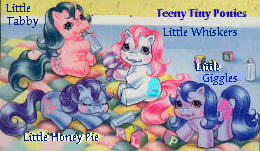 Miniwini Ponys