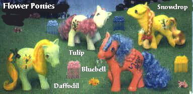 Vergiss-mein-nicht Ponys